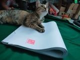 Giấy gòn tập viết thư pháp ( cho những ai mới bắt đầu )