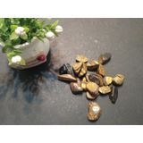 [CỔ NGHỆ THƯƠNG PHẨM] 100g Thạch anh thanh tẩy