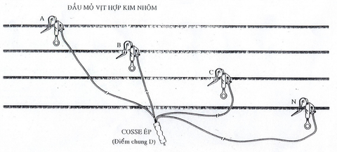 BỘ DÂY TIẾP ĐẤT LƯU ĐỘNG TRUNG THẾ - MV60