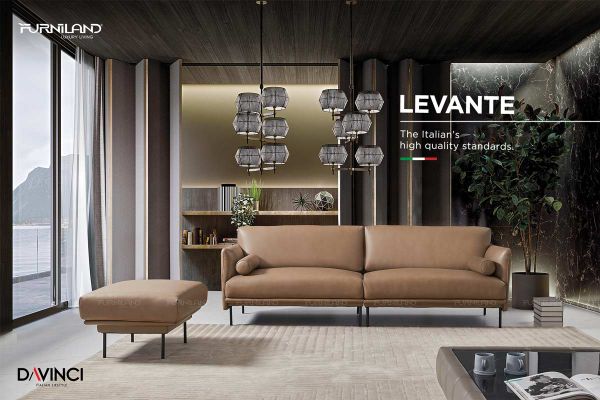 Cách bảo vệ Sofa khỏi thú cưng