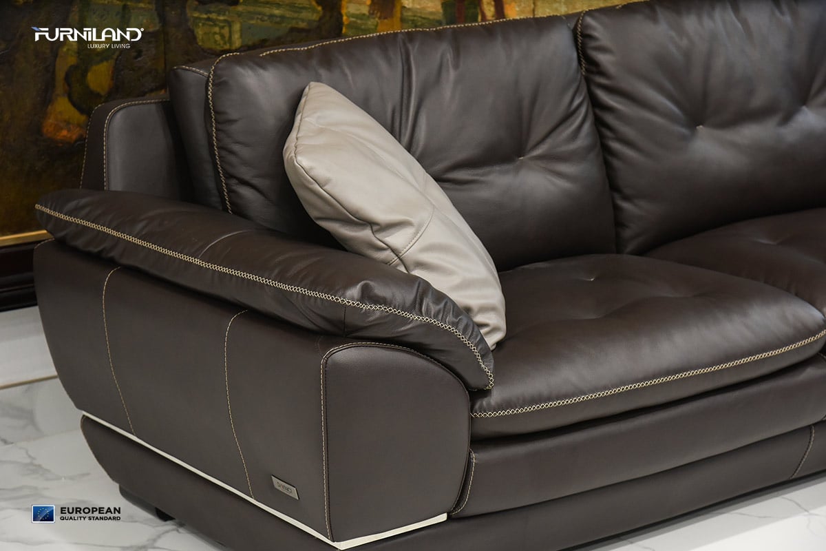 Sofa Bị Mốc Và Cách Phòng Tránh