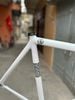 khung fixed gear Pizz ninja