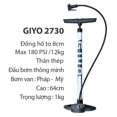 Bơm Giyo to GF 2730 180 psi