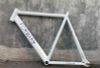 Khung Fixed gear Forward càng carbon model 2022