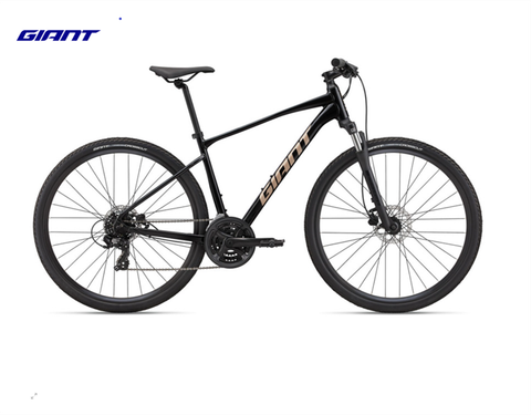 Xe MTB Giant Roam 4 Disc 2022