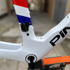 Khung road carbon Pina F14 phanh đĩa