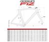 Khung carbon Pina F12 1K