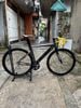 Xe Fixed Gear Gray F15 tay cong hub novatec