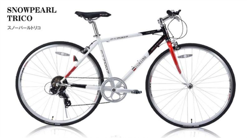 Xe touring FORTINA Crossbike 700c