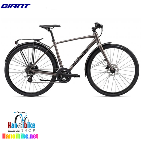 Xe Touring Giant Escape 2 City D 2020