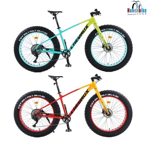 Xe đạp MTB  CHEVAUX TOTO FAT bánh béo 26 INCHs