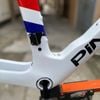 Khung road carbon Pina F14 phanh đĩa