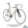 Khung Fixed Gear Aventon Cordoba 2020