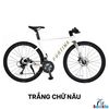Xe đạp đường phố touring FORTINA FT7012 full bộ group Shimano Claris R2000