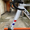 Khung road carbon Pina F14 phanh đĩa