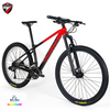 Xe MTB TW Predator pro carbon RS30