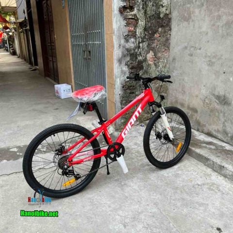 Xe MTB Giant MTX bánh 24 inchs