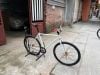Xe Fixed gear độ Trick bánh 26 inchs