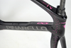 Khung carbon Pinarello F100