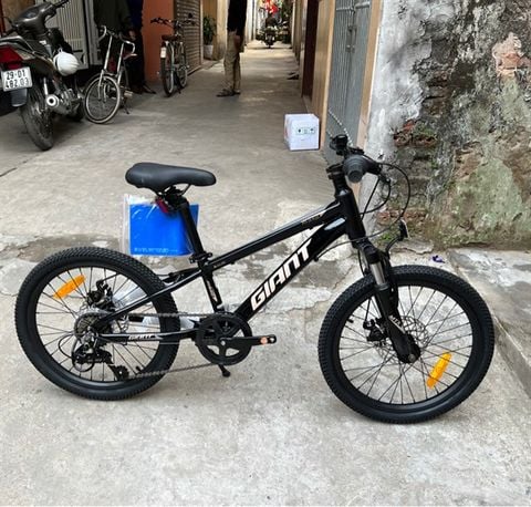 Xe MTB Giant MTX bánh 20