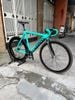 Xe Fixed Gear Colossi Lowpro càng carbon đùi SKE