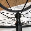 Vành Carbon Road SHIMANO C46 phanh đĩa thả