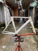 Khung Fixed Gear Seaboard FA03