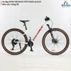 Xe MTB CHEVAUX TOTO Bánh 29 inch