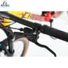 Xe MTB CHEVAUX TOTO Bánh 29 inch