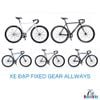 Xe đạp Fixed gear Allways khung nhôm