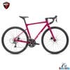 Xe đạp đua Road Twitter C6 bộ chuyển động Shimano Claris R2000 phanh đĩa