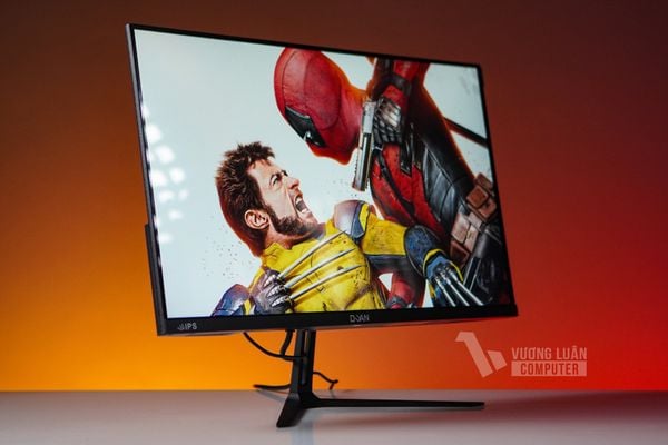 MÀN DUAN DT-IP2409S 24 INCH - IPS - FHD - 100Hz - 1MS - HDMI + VGA