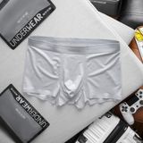  Boxer RAFOZ basic lightweight - 008 