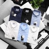  Áo sơ mi Rafoz6 slimfit basic - 220209 