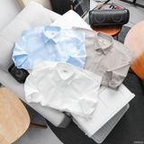  Áo SMNT regular oxford RAFOZ - 009 