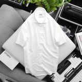  Áo SMNT RAFOZ basic 3M - 220254 