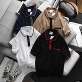  Áo polo Rafoz slim basic 4M 