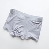  Boxer Rafoz Logo Printed - 220226 