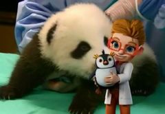 Ruby, Veterinarian (Bác sĩ thú y)