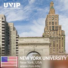 Đại học New York