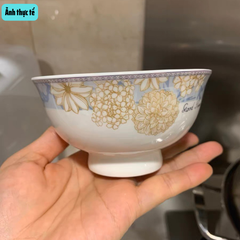 Bộ Bát Đĩa Sứ Xương - Bộ Sắc Hoa Mùa Xuân GS42