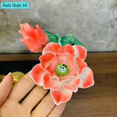 SEN ĐÁ VĨNH CỬU T32