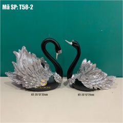 CẶP THIÊN NGA ĐEN T58