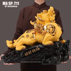TỲ HƯU VÀNG T11