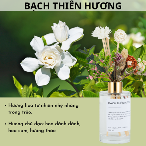 Hương hoa Bạch thiên hương