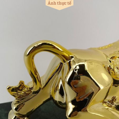 BÒ VÀNG TÀI CHÍNH T101