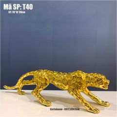 TƯỢNG BÁO VÀNG T40