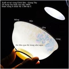 Bộ Bát Đĩa Sứ Xương - Bộ Royal Bloom GS76