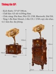 MÁY PHÁT NHẠC CỔ ĐIỂN MPN18