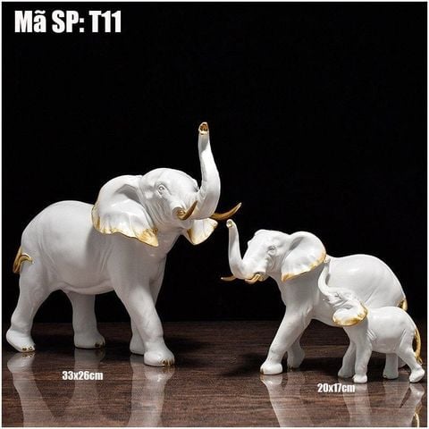GIA ĐÌNH VOI T11